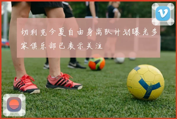 切利克今夏自由身离队计划曝光多家俱乐部已表示关注
