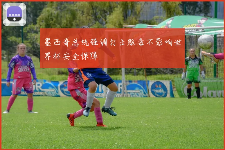 墨西哥总统强调打击贩毒不影响世界杯安全保障