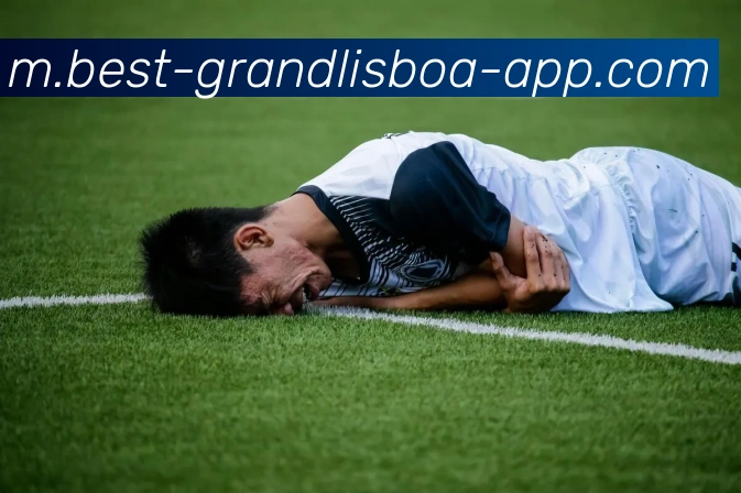 新葡京娱乐服务体系